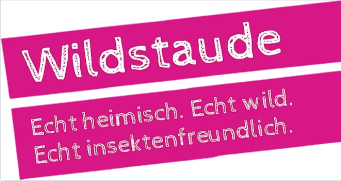 Heimische Wildstauden für Naturgärten